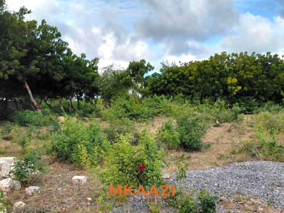 Prime 2.5-acre fully walled development land for sale near Turtle Bay in Watamu along Villa Mapenzi Road.