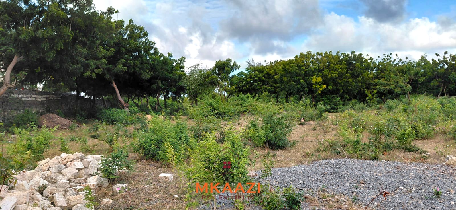 Prime 2.5-acre fully walled development land for sale near Turtle Bay in Watamu along Villa Mapenzi Road.