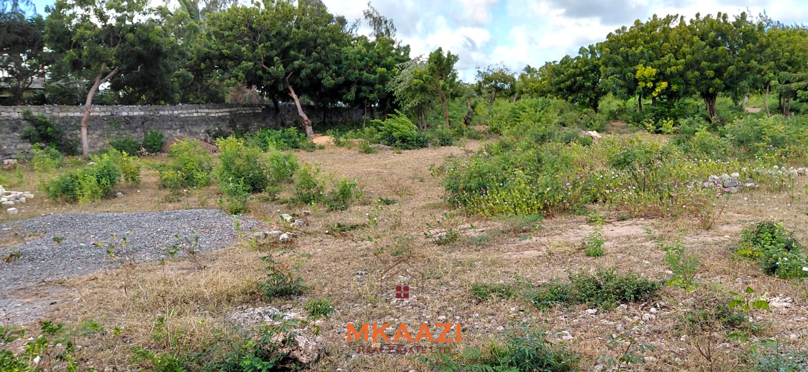 Prime 2.5-acre fully walled development land for sale near Turtle Bay in Watamu along Villa Mapenzi Road.