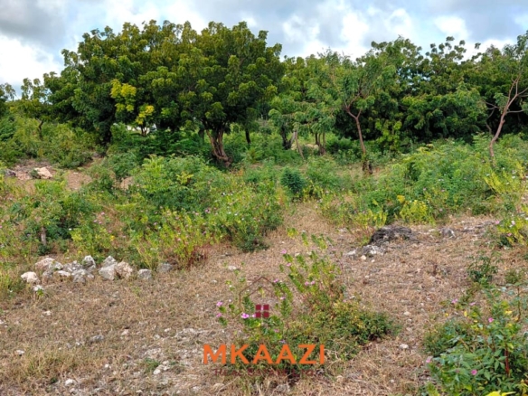 Prime 2.5-acre fully walled development land for sale near Turtle Bay in Watamu along Villa Mapenzi Road.