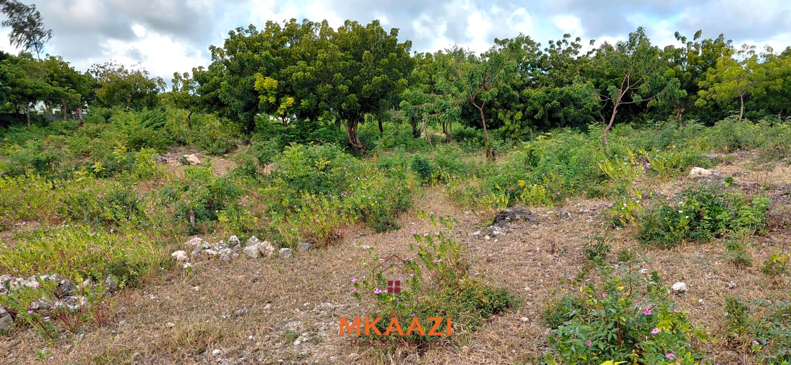 Prime 2.5-acre fully walled development land for sale near Turtle Bay in Watamu along Villa Mapenzi Road.