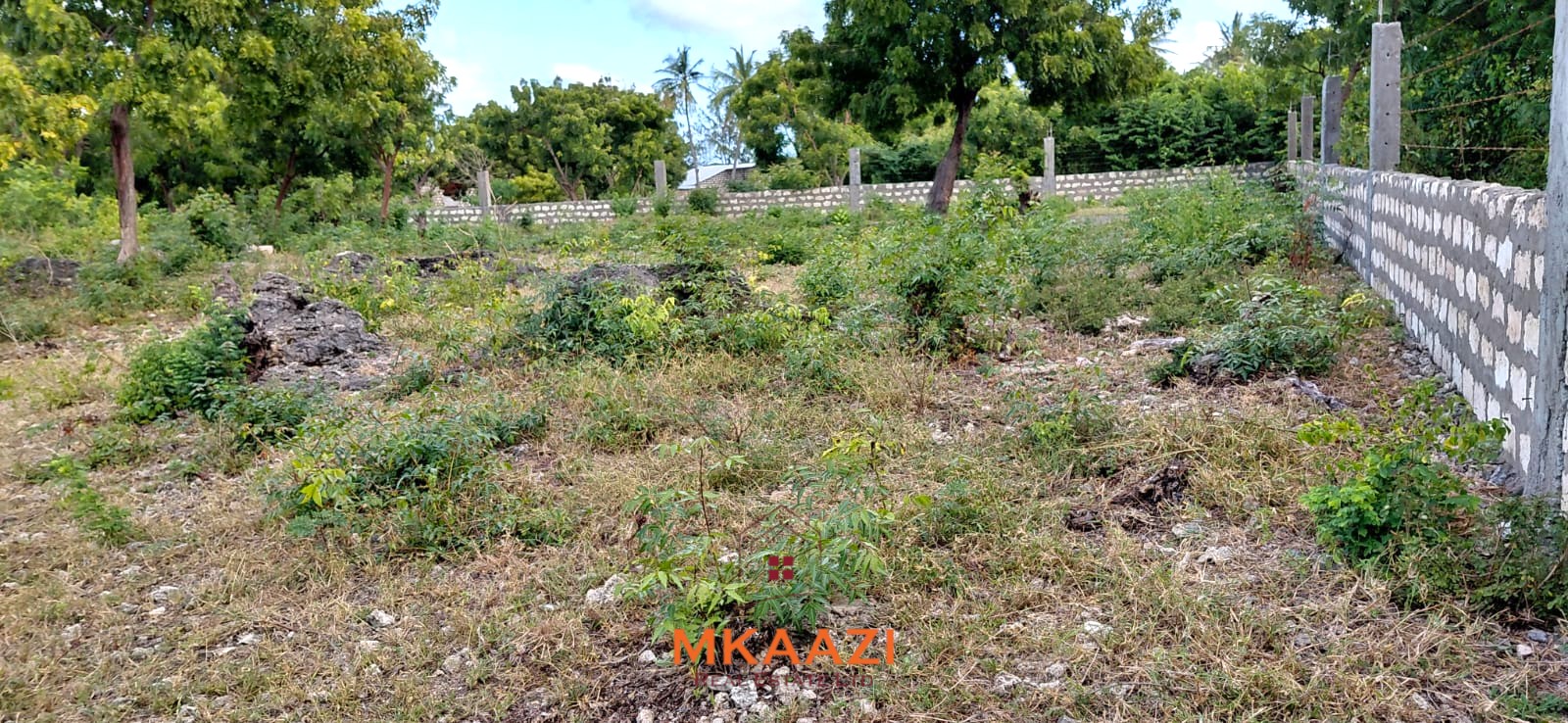 Prime 2.5-acre fully walled development land for sale near Turtle Bay in Watamu along Villa Mapenzi Road.