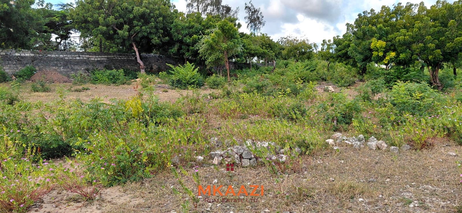 Prime 2.5-acre fully walled development land for sale near Turtle Bay in Watamu along Villa Mapenzi Road.