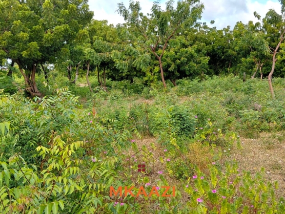 Prime 2.5-acre fully walled development land for sale near Turtle Bay in Watamu along Villa Mapenzi Road.