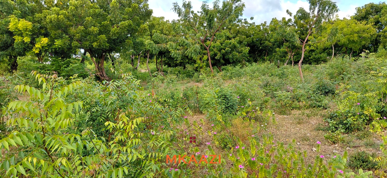 Prime 2.5-acre fully walled development land for sale near Turtle Bay in Watamu along Villa Mapenzi Road.