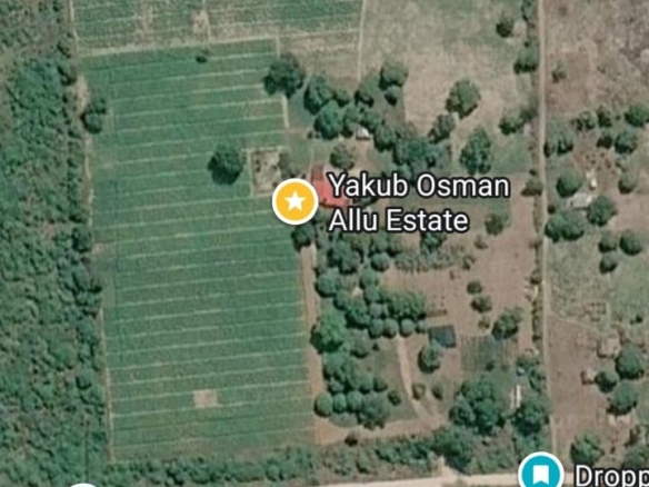 Prime 12-Acre Moringa Farm for Sale in Mijomboni, Gede – KES 36 Million