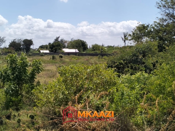 2 Acres for Sale in Mambrui – Prime Second-Row Coastal Land/Plot | KES 27M