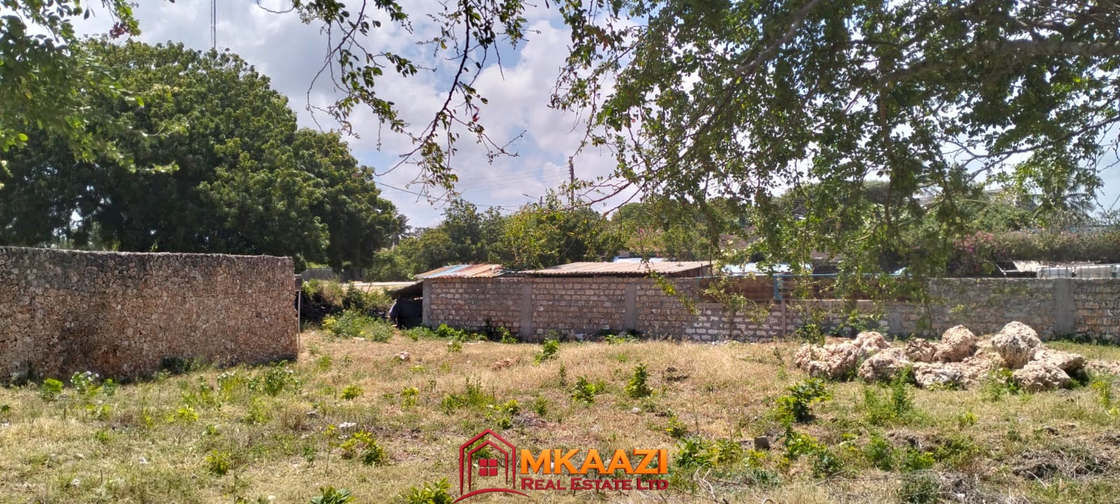 2 Acres for sale distress casuarina casuarina-road-land-for-sale-malindi