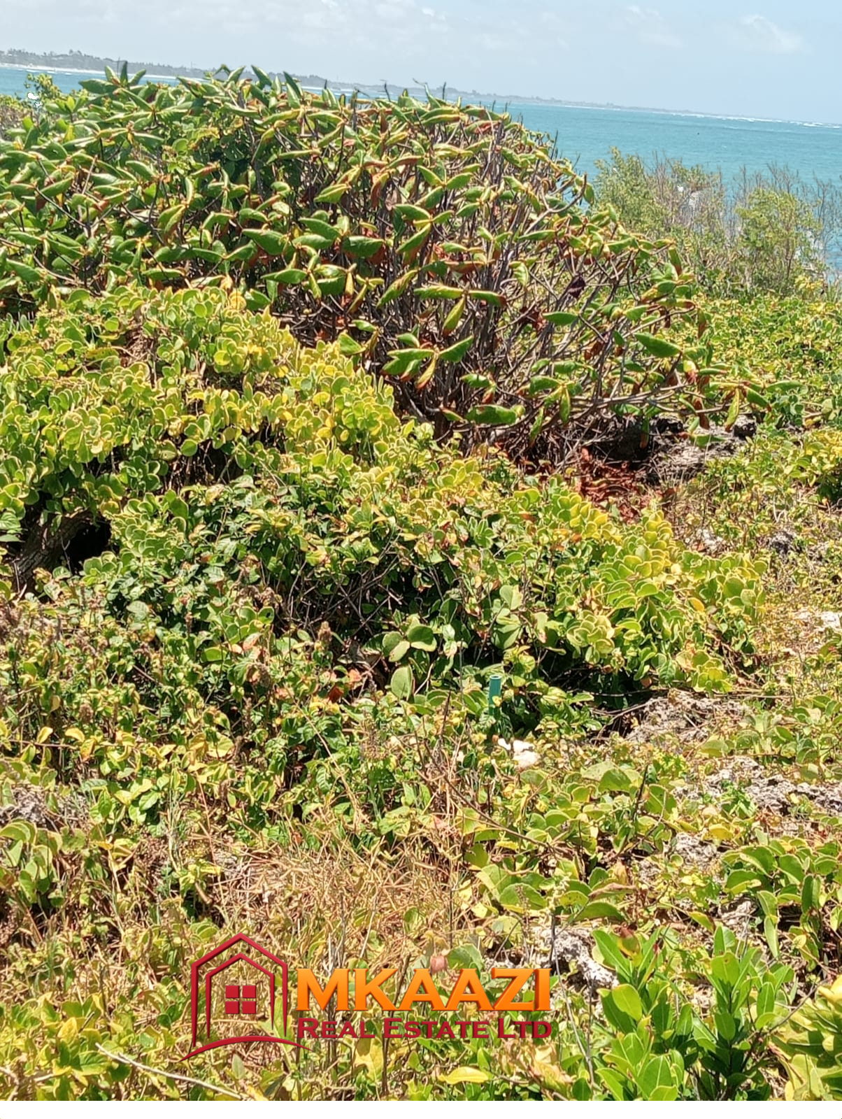 Prime Beachfront Plots and Land for Sale in Matsangoni, Malindi – 2 & 6 Acres | KES 13M/Acre