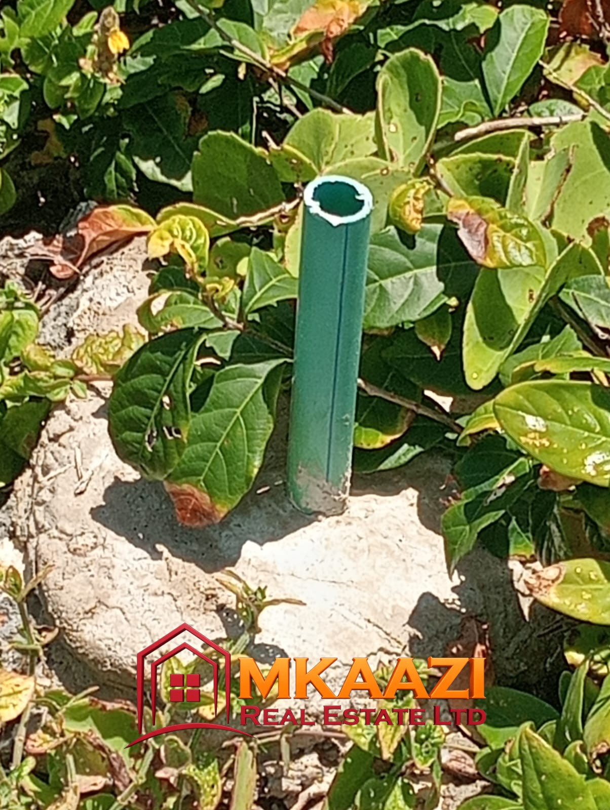 Prime Beachfront Plots and Land for Sale in Matsangoni, Malindi – 2 & 6 Acres | KES 13M/Acre