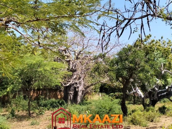 Prime 3-acre development land near Casuarina Beach and Malindi Airport