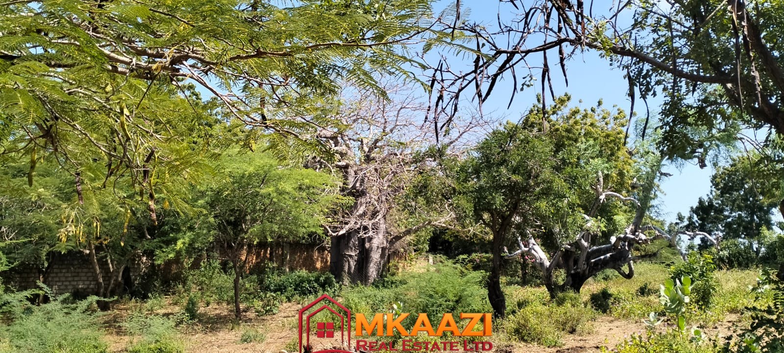 3 Acres for sale on Casuarina road 12 Prime 3-acre development land near Casuarina Beach and Malindi Airport