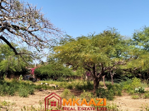 Mature Baobab trees on prime 3-acre property in Malindi