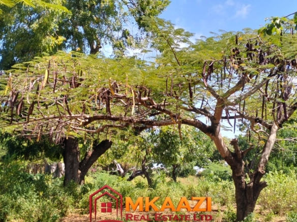 pacious 3-acre parcel of land for sale in Casuarina Malindi