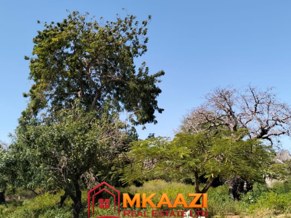 3-acre property approximately 800 metres from Casuarina Beach Malindi