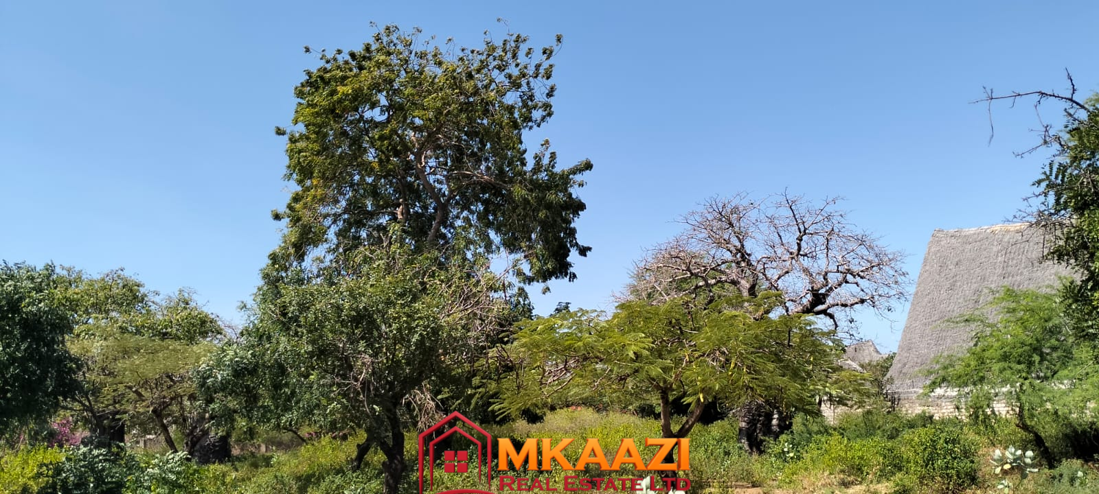 3 Acres for sale on Casuarina road 7 3-acre property approximately 800 metres from Casuarina Beach Malindi