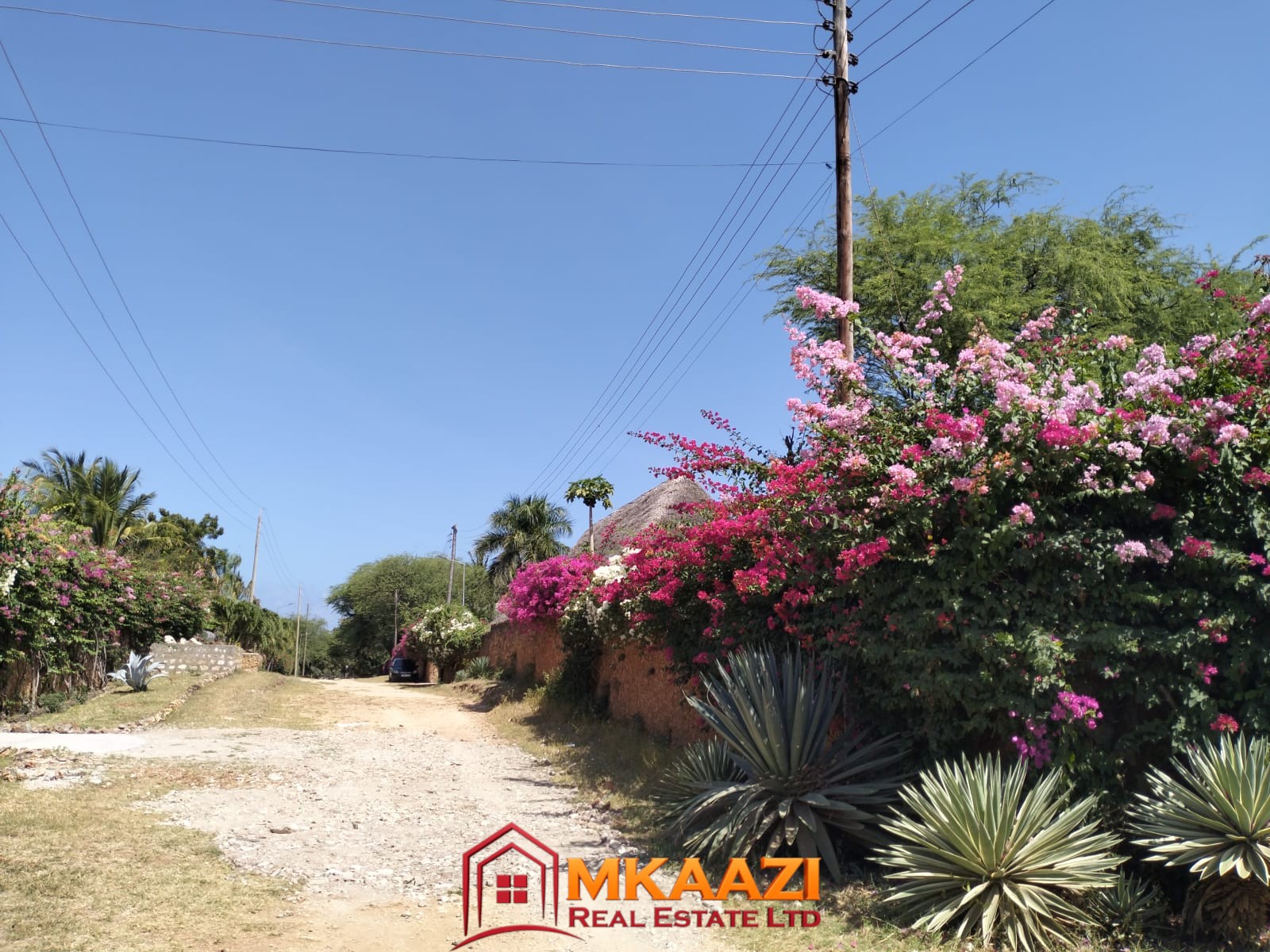 3 Acres for sale on Casuarina road 3-acre property approximately 800 metres from Casuarina Beach Malindi
