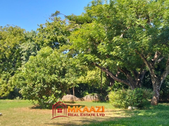 🌿 3-Bedroom Bungalow for Sale in Malindi – 1.15 Acres Off Lamu Road