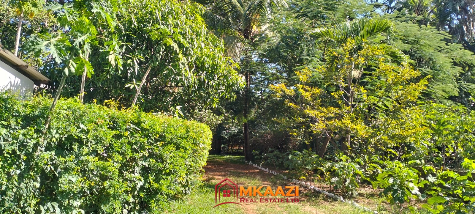 🌿 3-Bedroom Bungalow for Sale in Malindi – 1.15 Acres Off Lamu Road