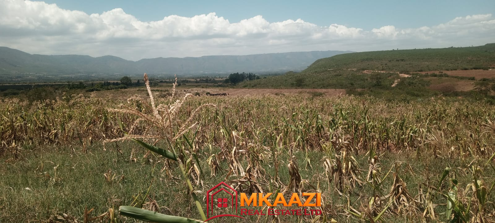 4500 Subukia Ranch (1) 4,500-Acre Ranch for Sale in Lower Subukia, Nakuru & Baringo