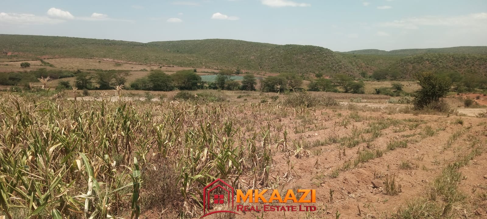 4500 Subukia Ranch (2) 4,500-Acre Ranch for Sale in Lower Subukia, Nakuru & Baringo