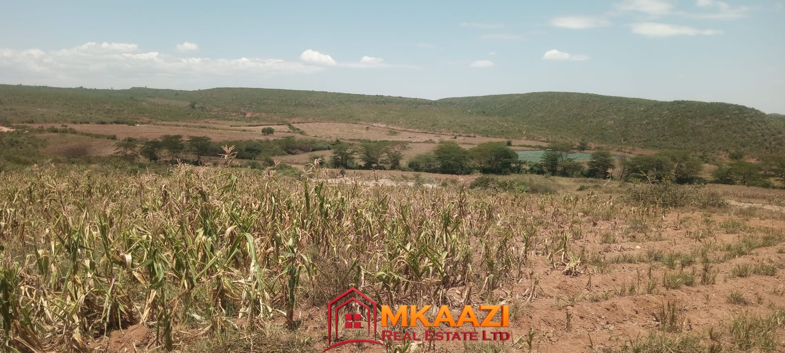 4500 Subukia Ranch 4,500-Acre Ranch for Sale in Lower Subukia, Nakuru & Baringo