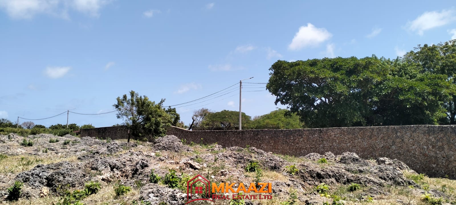 Casuarina 2 acres 2-acre-development-land-malindi