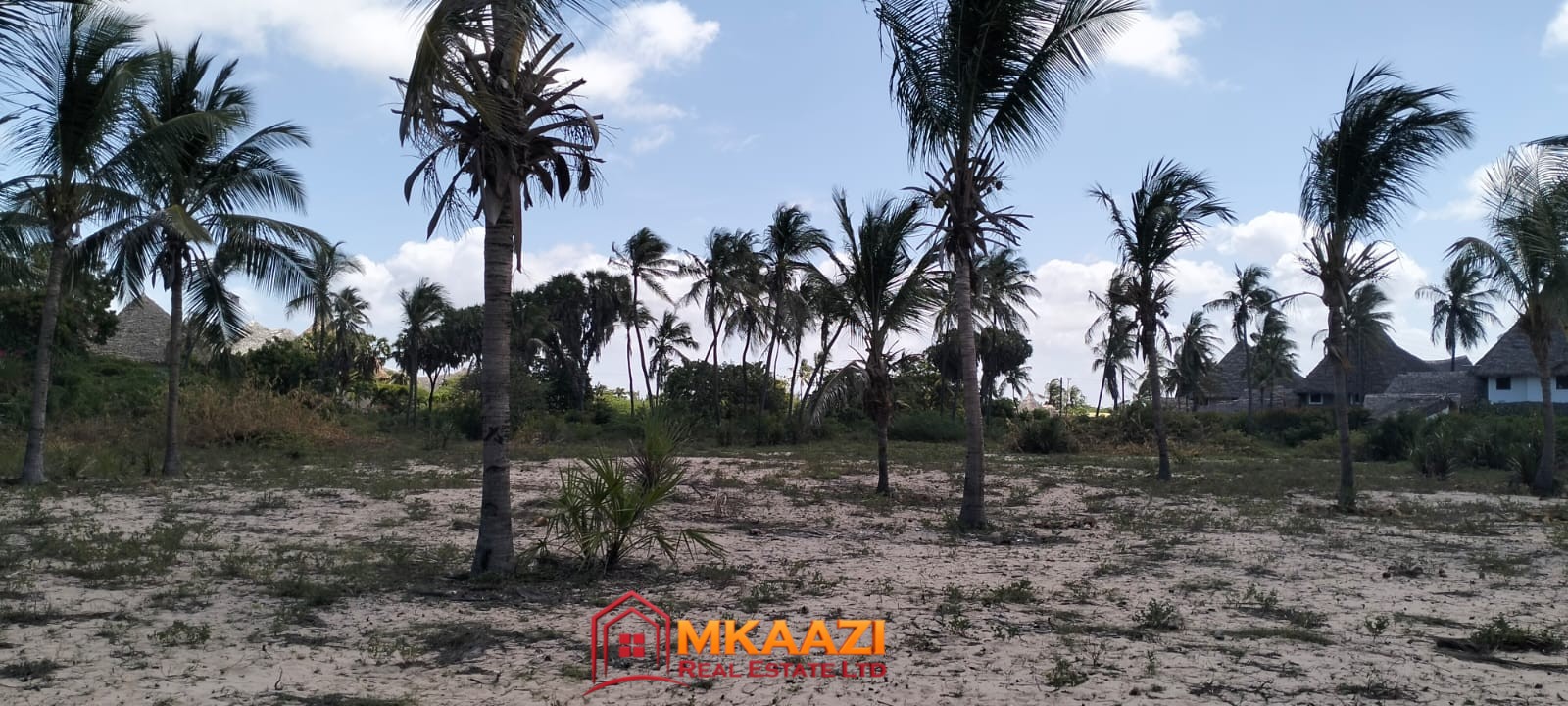 5-Acre Beachfront Property for Sale in Mambrui, Malindi – €500,000 / Approx. KES 74.4M