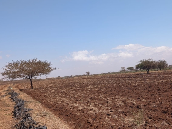 10-Acre Agricultural Farm for Sale in Loitokitok/Kimana – Ready-to-Farm Property | KES 20M
