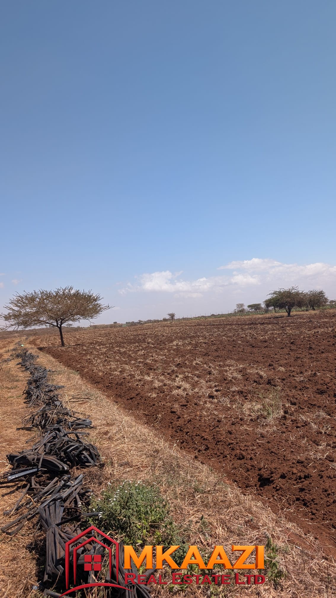 10-Acre Agricultural Farm for Sale in Loitokitok/Kimana – Ready-to-Farm Property | KES 20M