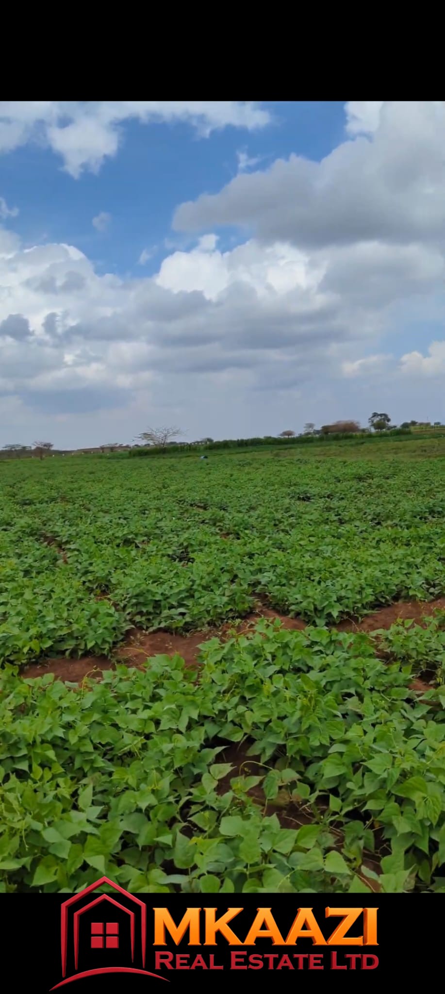 10-Acre Agricultural Farm for Sale in Loitokitok/Kimana – Ready-to-Farm Property | KES 20M