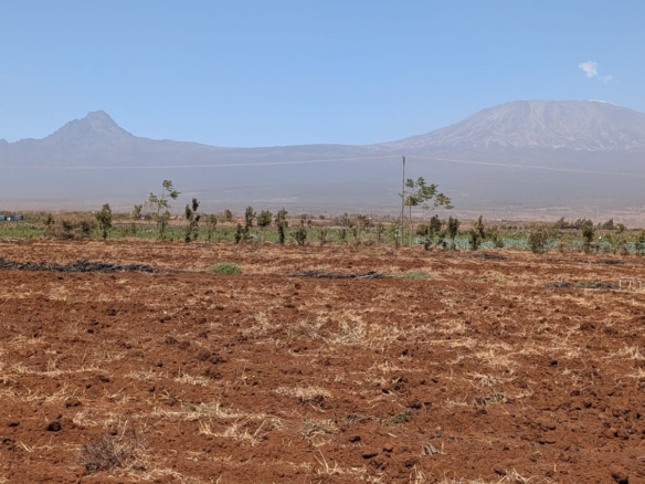 10-Acre Agricultural Farm for Sale in Loitokitok/Kimana – Ready-to-Farm Property | KES 20M