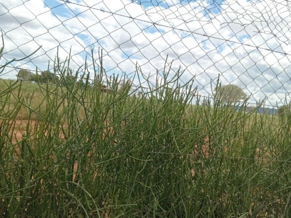 Rare Large-Acreage Riverfront Land Opportunity