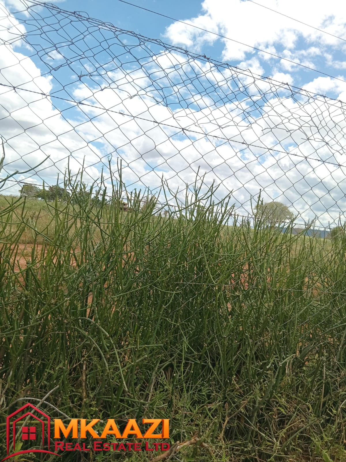 Makueni 1600acre (10) Rare Large-Acreage Riverfront Land Opportunity