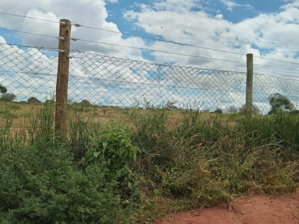 Mkaazi Real Estate 1,600 acres land for sale in Makueni