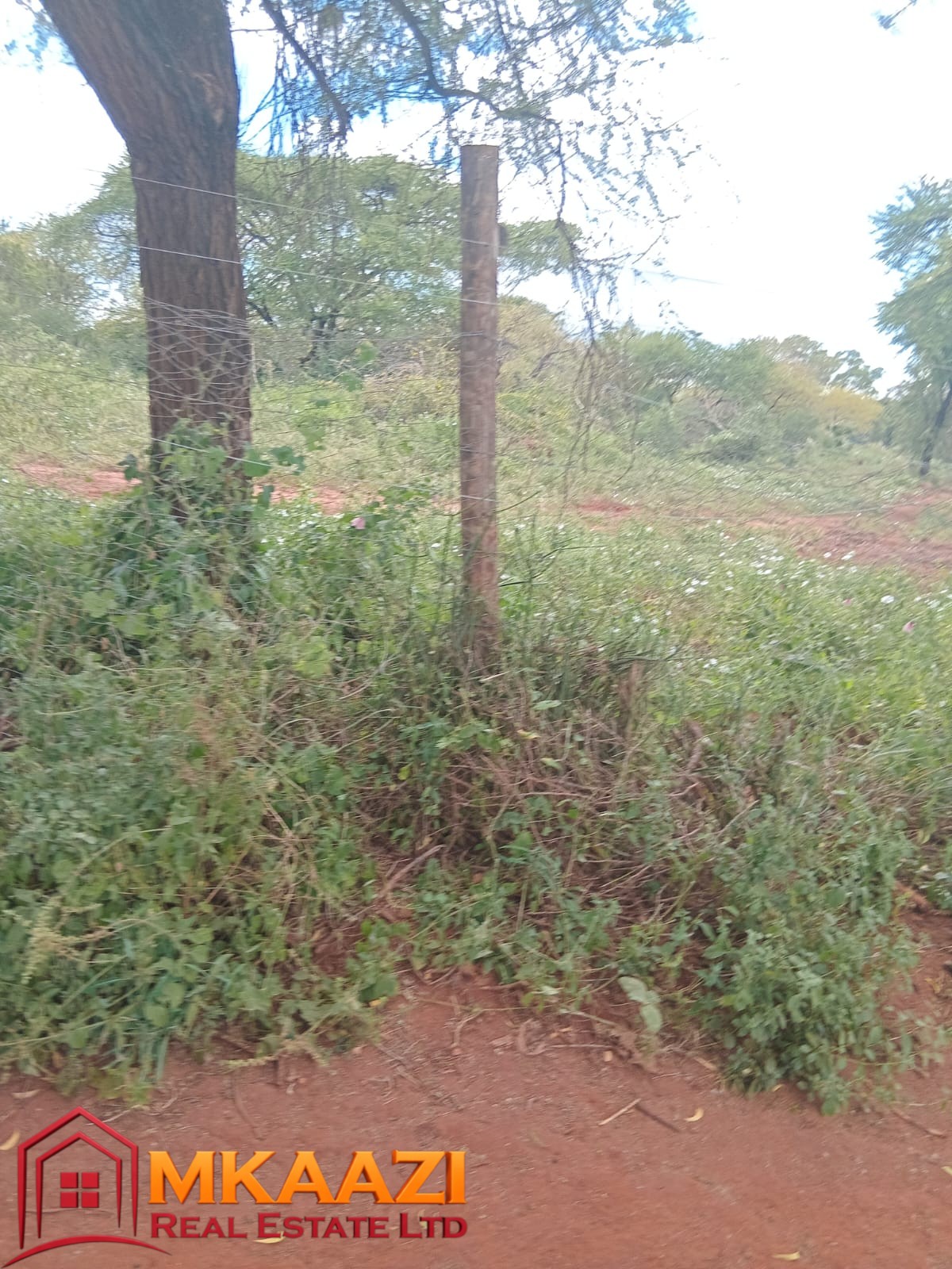 Makueni 1600acre (3) Mkaazi Real Estate – Premium Land Investment Opportunity