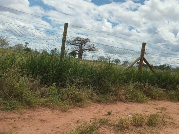 freehold investment land for sale in Makueni Kenya