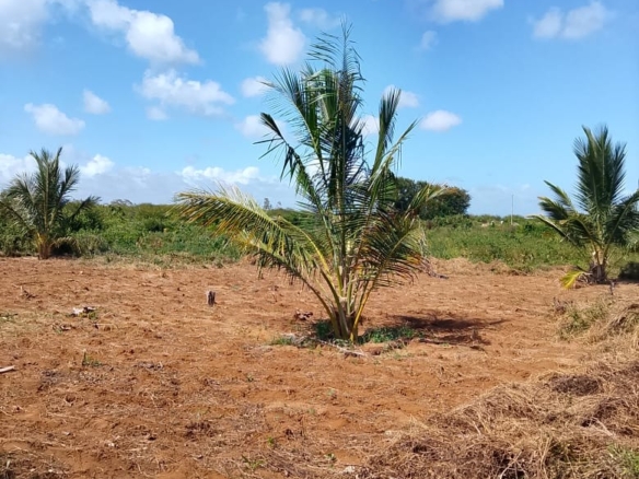 5-Acre Oceanfront Property for Sale on Manda Island – Freehold Title | KES 3.3M Per Acre