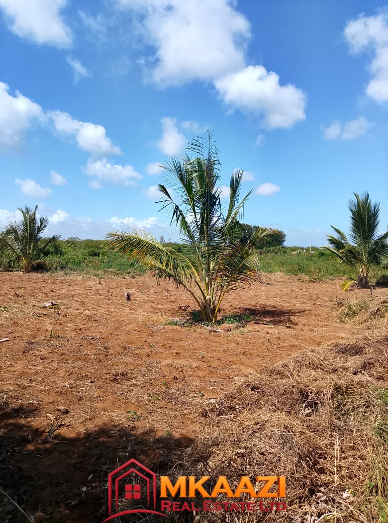 5-Acre Oceanfront Property for Sale on Manda Island – Freehold Title | KES 3.3M Per Acre
