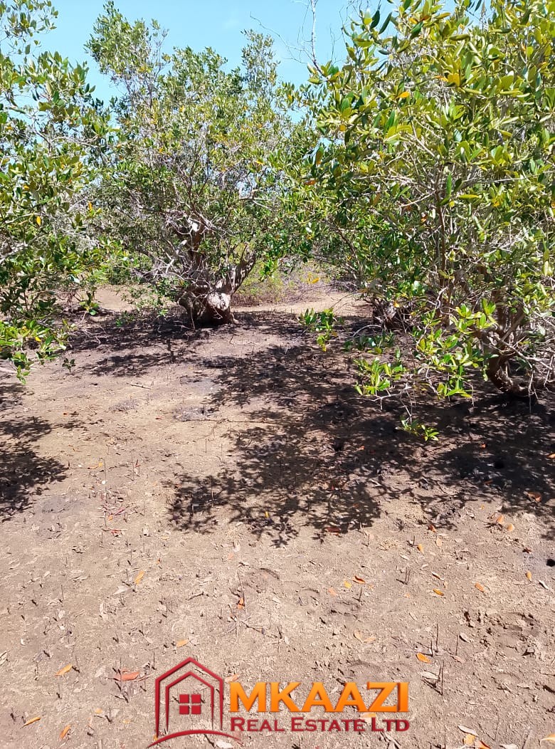 5-Acre Oceanfront Property for Sale on Manda Island – Freehold Title | KES 3.3M Per Acre