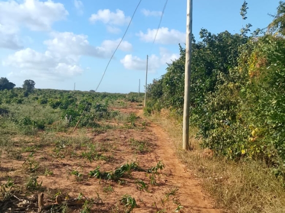 5-Acre Oceanfront Property for Sale on Manda Island – Freehold Title | KES 3.3M Per Acre