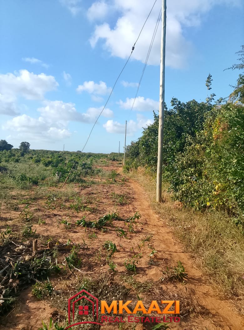5-Acre Oceanfront Property for Sale on Manda Island – Freehold Title | KES 3.3M Per Acre