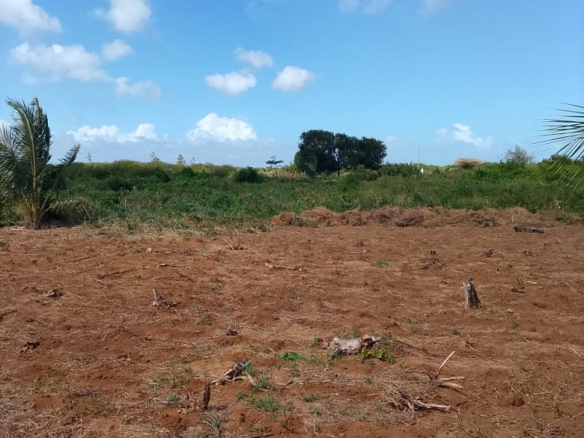 5-Acre Oceanfront Property for Sale on Manda Island – Freehold Title | KES 3.3M Per Acre