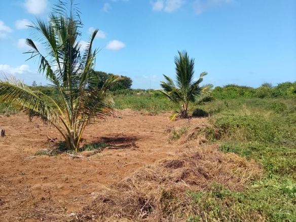 5-Acre Oceanfront Property for Sale on Manda Island – Freehold Title | KES 3.3M Per Acre