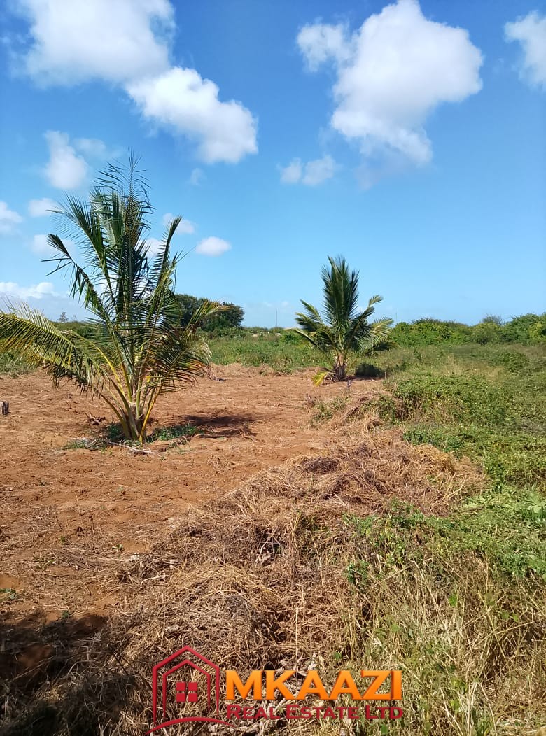 5-Acre Oceanfront Property for Sale on Manda Island – Freehold Title | KES 3.3M Per Acre