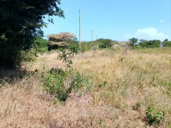 5-Acre Oceanfront Property for Sale on Manda Island – Freehold Title | KES 3.3M Per Acre