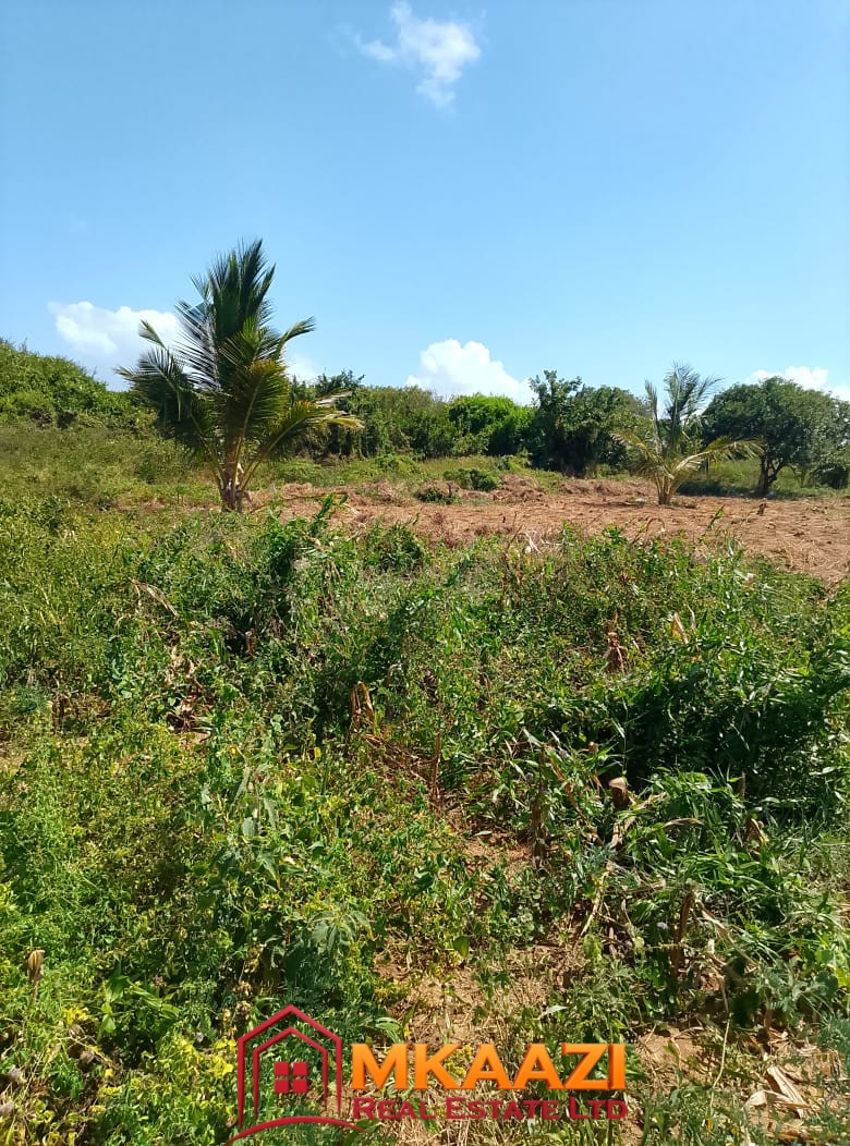 5-Acre Oceanfront Property for Sale on Manda Island – Freehold Title | KES 3.3M Per Acre