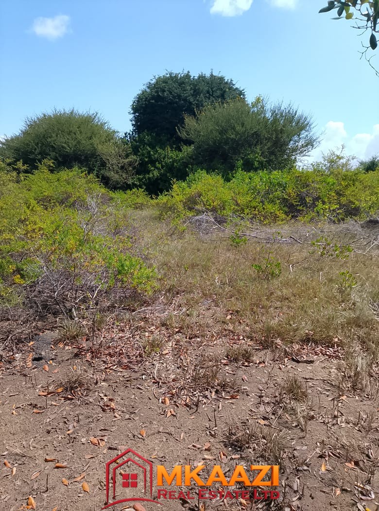 5-Acre Oceanfront Property for Sale on Manda Island – Freehold Title | KES 3.3M Per Acre