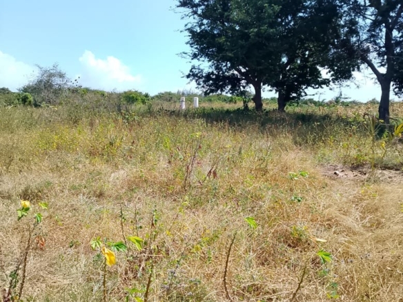 5-Acre Oceanfront Property for Sale on Manda Island – Freehold Title | KES 3.3M Per Acre