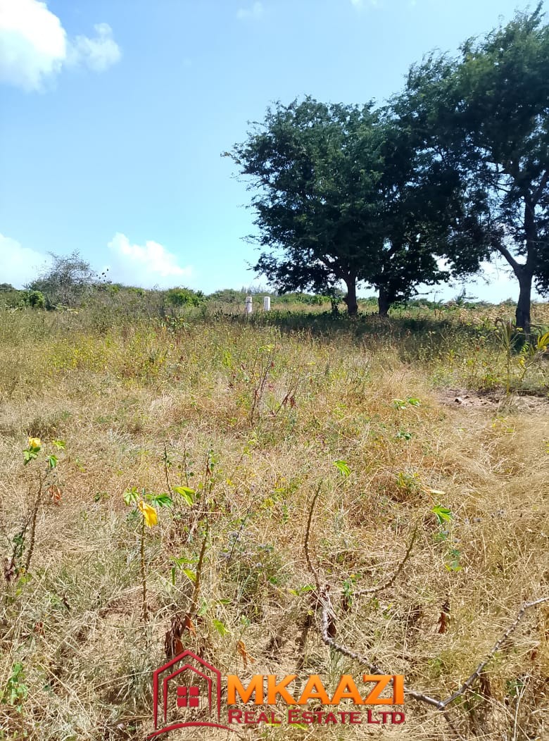 5-Acre Oceanfront Property for Sale on Manda Island – Freehold Title | KES 3.3M Per Acre
